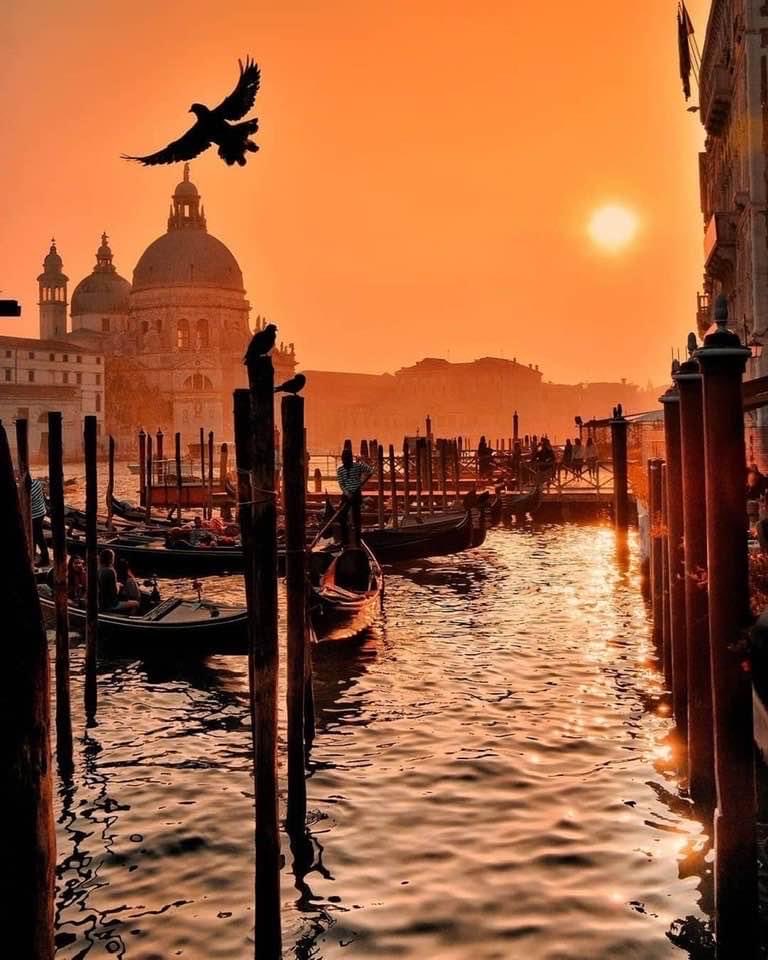 La Belle Sérénissime ! Photo de Antosiak.