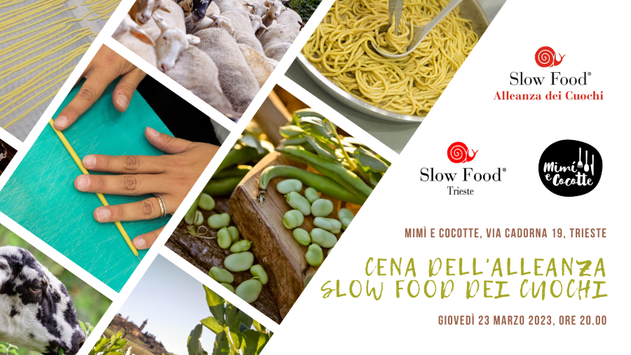 Slow Food Trieste tweet media