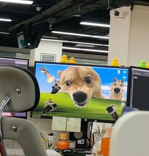 Tammy33855440's tweet image. Have a nice day, all my friends ☕☕ #ElecrowPCB