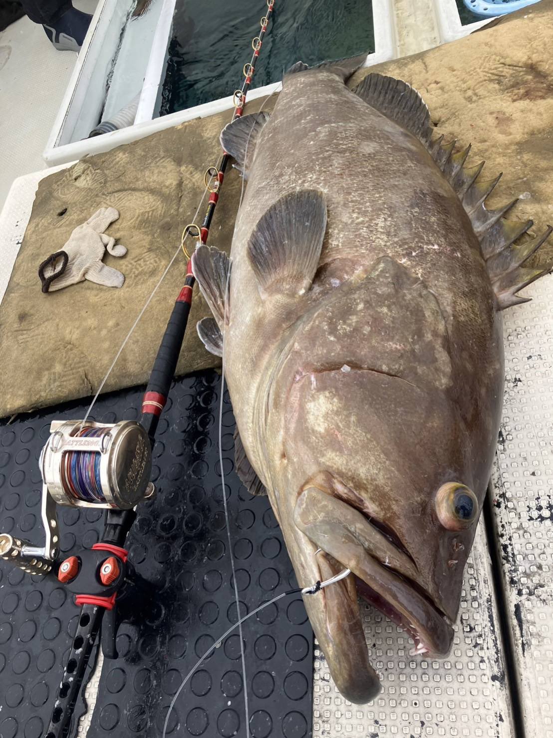 ゴクスペ　極スタンディング160 GRANDEVO極スタンディング160 - gokuspe