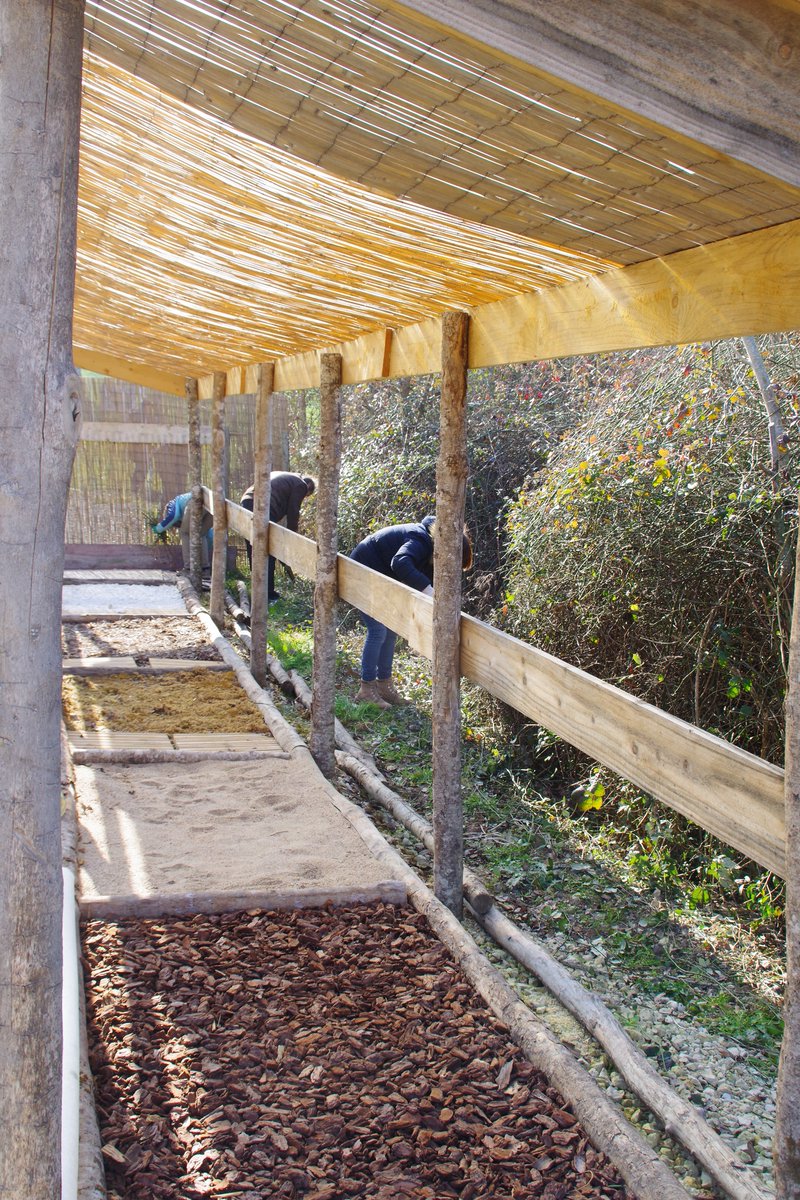 LesTracesduLoup's tweet photo. Samedi 4 mars dernier, grâce aux bénévoles de l'association Ensemble pour Voir 89 et de l'association Sur les Traces du Loup nous avons mis au propre le parcours pieds-nus (débroussaillage, désherbage, installation d'un chemin en bois) et délimité les futurs parcours sensoriels https://t.co/Pj6RgFV6g4