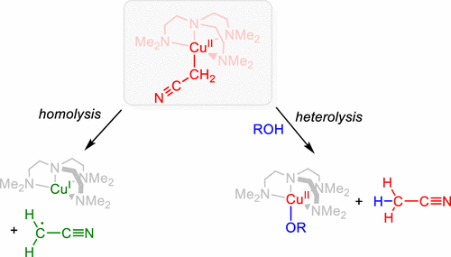 bhkenlo's tweet photo. Kinetico-Mechanistic Studies on a Reactive Organocopper(II) Complex: Cu–C Bond Homolysis versus Heterolysis https://t.co/3cNkz8rFsd Martínez, Bernhardt, and co-workers @InorgChem #copper #divalent #organo #kinetico #mechanistic #CuCbond #homolysis #heterolysis https://t.co/AjJiIdReii