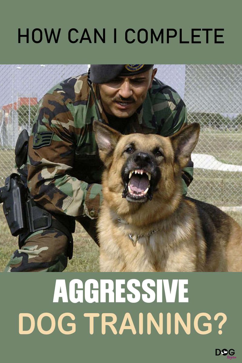 DogRegion's tweet image. How can i complete aggressive dog training?..Show more 👉👉dogregion.com/aggressive-dog…

#AggressiveDogTraining #DogBehaviorModification #DogAggression #PositiveReinforcementTraining #DogTrainingTips