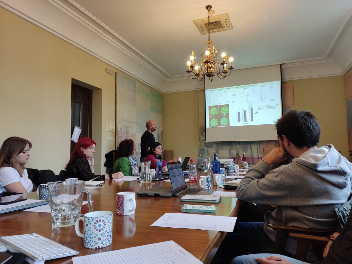 MJP_Lab's tweet photo. Excited to be part of the Networking Symposium with @SZytynska and @AMartinezMedina were we discuss Microbe induced plant resistance to insects. Ivan is presenting his awesome research about PCD triggered by beneficial fungi. https://t.co/IrW5ps8zpP