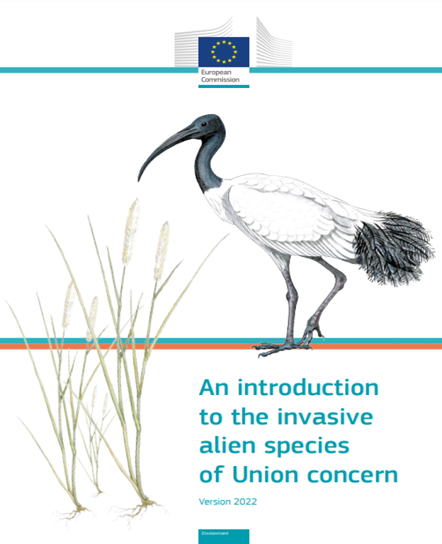 IUCN European Regional Office (@IUCNEurope) on Twitter photo 2023-03-07 09:03:48 Aliens live among us!👽#InvasiveAlienSpecies alter ecological systems bringing negative consequences for #nature, human health, and the economy. Appropriate management is crucial to mitigate their impact.
Get to know these #aliens here: bit.ly/3ILhiMA
@IUCN @EU_ENV Aliens live among us!👽#InvasiveAlienSpecies alter ecological systems bringing negative consequences for #nature, human health, and the economy. Appropriate management is crucial to mitigate their impact.
Get to know these #aliens here: bit.ly/3ILhiMA
@IUCN @EU_ENV