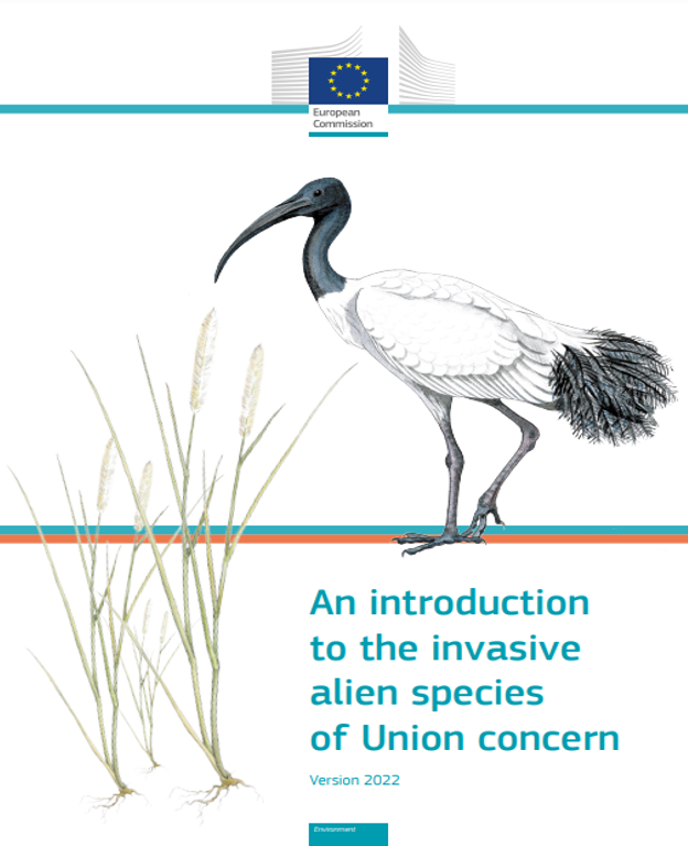 Aliens live among us!👽#InvasiveAlienSpecies alter ecological systems bringing negative consequences for #nature, human health, and the economy. Appropriate management is crucial to mitigate their impact. Get to know these #aliens here: bit.ly/3ILhiMA @IUCN @EU_ENV