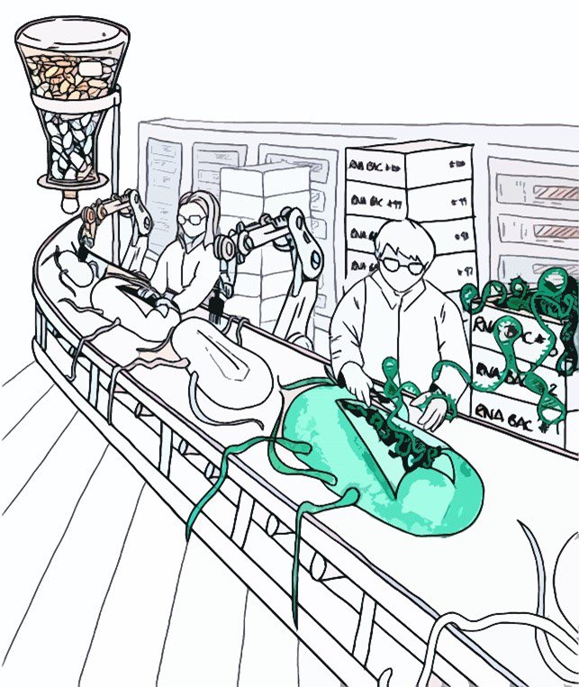 We have 2 exciting postdoc positions available in our new center for single-cell RNA-seq of microbes, MICROSEQ. One wet lab, one bioinformatics/data science. Looking for people who enjoy working in international collaborations! Apply here helmholtz-hiri.de/en/jobs-talent…