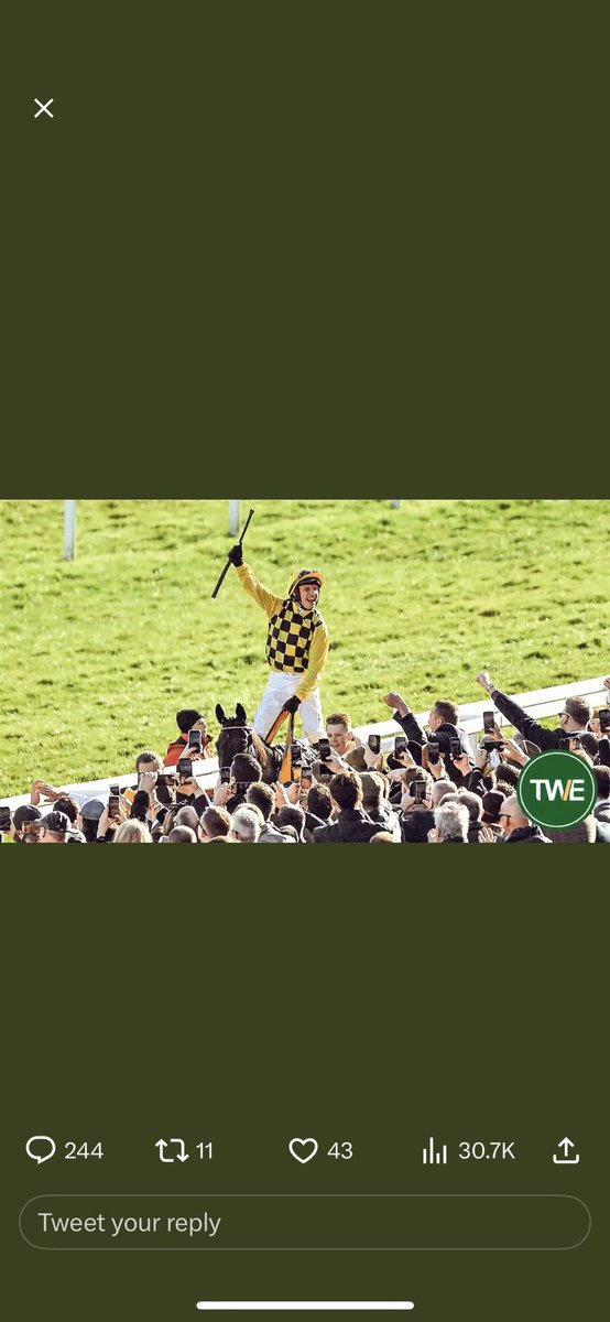 downesy_james's tweet photo. @TWEnclosure https://t.co/CDsva2rORN