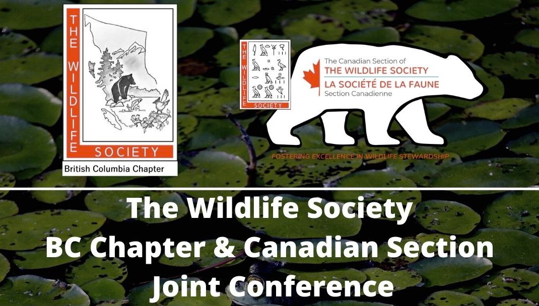 The BC TWS conference returns with <a href="/theCSTWS/">Canadian Section of The Wildlife Society</a>
 in #Victoria #BC. If you haven't registered yet, do it! It's going to be a good time. Includes film screening of #Transmission

bctws.ca/2023conference…

Join us for the Social at Bard and Banker Thursday March 30th. #BCTWS2023