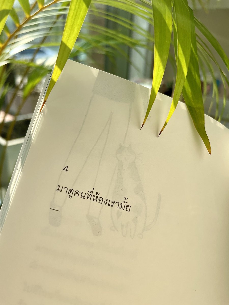แมว : มาดูคนที่ห้องเรามั้ย