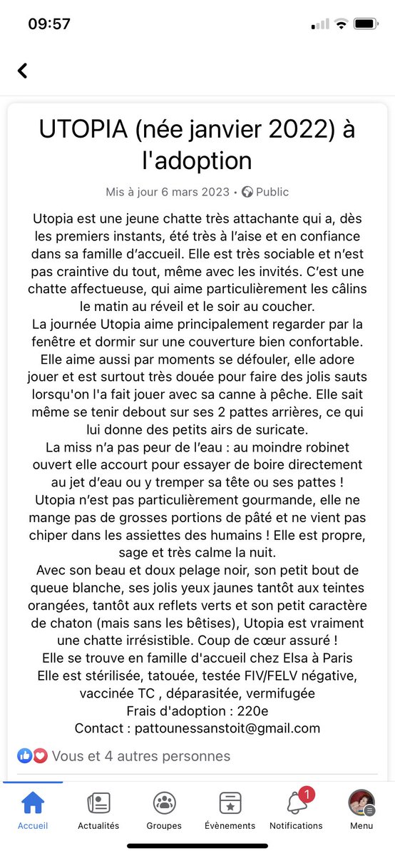 Voila Utopia, elle cherche a chadopter une gentille famille de numains. Elle a 1 ans et elle est siper jolie #teamnoir et gentille et son potit bout de queue blanche c’est just #kromeugnon 😻😻😻. Association pattounes sans toit en Parisie. Details sur la dernière photo.