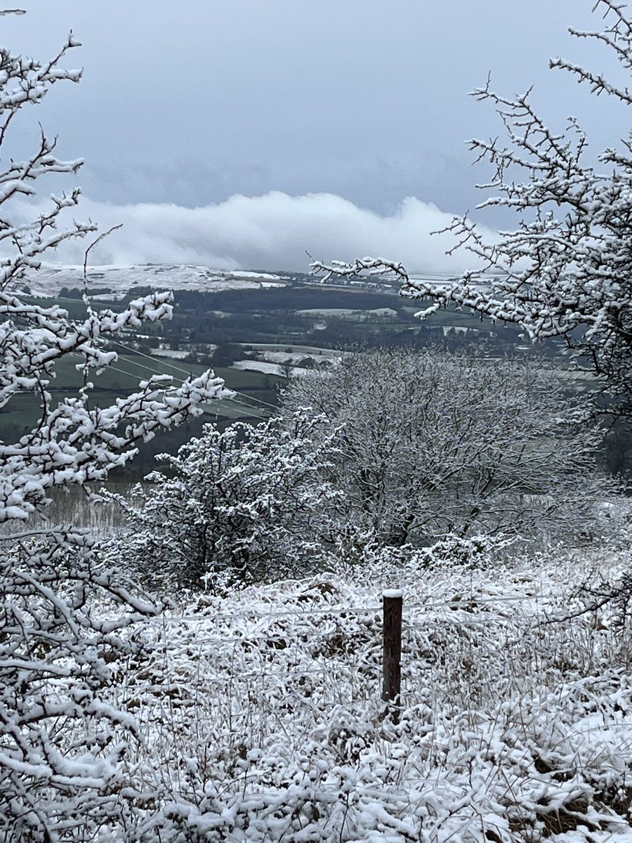 The Cotswolds this morning … looking towards Cleeve Hill, one week before <a href="/CheltenhamFesti/">Cheltenham Festival</a> #Cheltenham. Will it snow ? <a href="/itvracing/">ITV Racing</a>