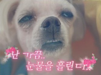 조..녜..롭...다...