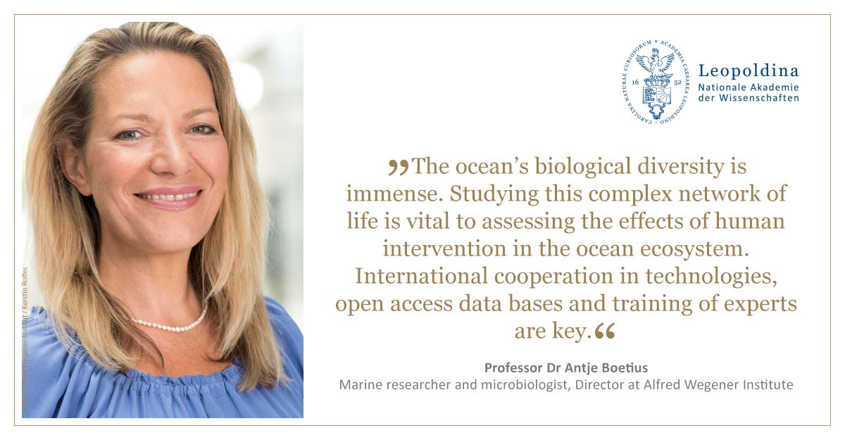 The #ocean is the largest habitat on Earth and makes an important contribution to #ClimateProtection. Knowledge about marine life and its evolution needs to be expanded, #G7 science academies say: leopoldina.org/g7-2023 @G7 #GScience2023 #Science7 #S7