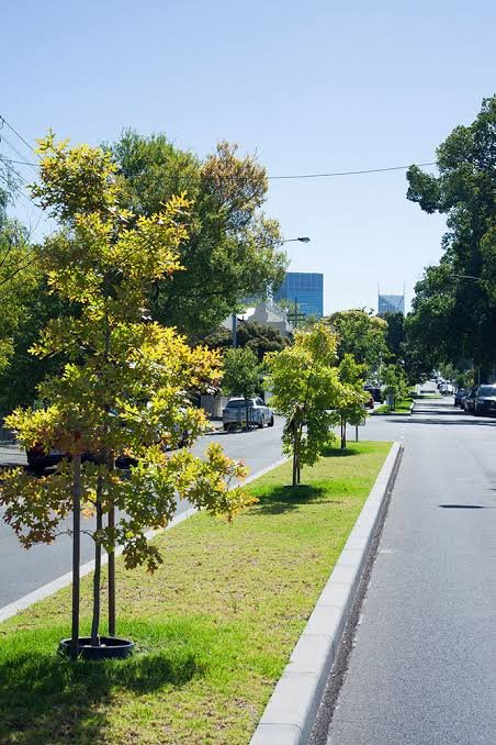 Navneetsahay's tweet photo. @SRVishwanathBJP @BDABangalore   If we want a spm free dust free&amp; carbon free Bangaluru If we want a cool Bangalore with adequate level of oxygen in the air
Then it shd be our mission our Dharma to plan&amp;provide St highways Boulevard like These With regular irigation &amp;maintenance https://t.co/0SmdneC9Ew