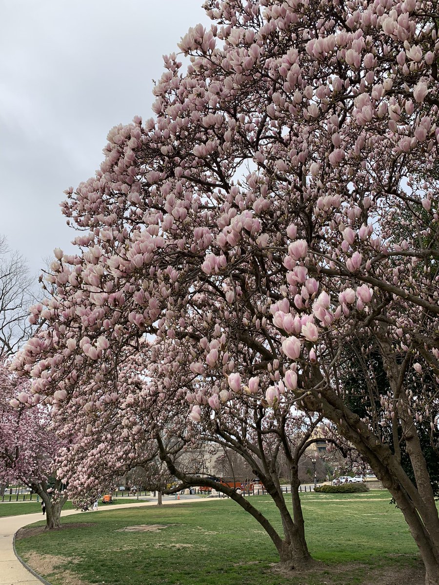 good morning to <a href="/acog/">ACOG</a> #CLC2023! 

District 3 is ready to meet with our legislators and talk about all aspects of comprehensive reproductive healthcare, including abortion access 🙌  

<a href="/ACOGAction/">ACOG Action</a>