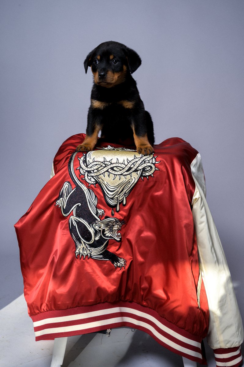 GM Fam, our reversible bomber jackets are finally dropping next month, who's ready? 👀 #merch #ATX #printshop