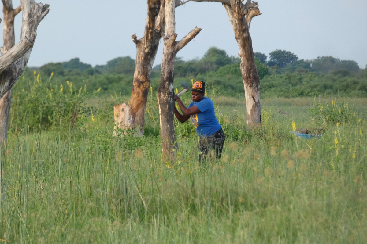 Kiiza Wa'Ugungu tweet media