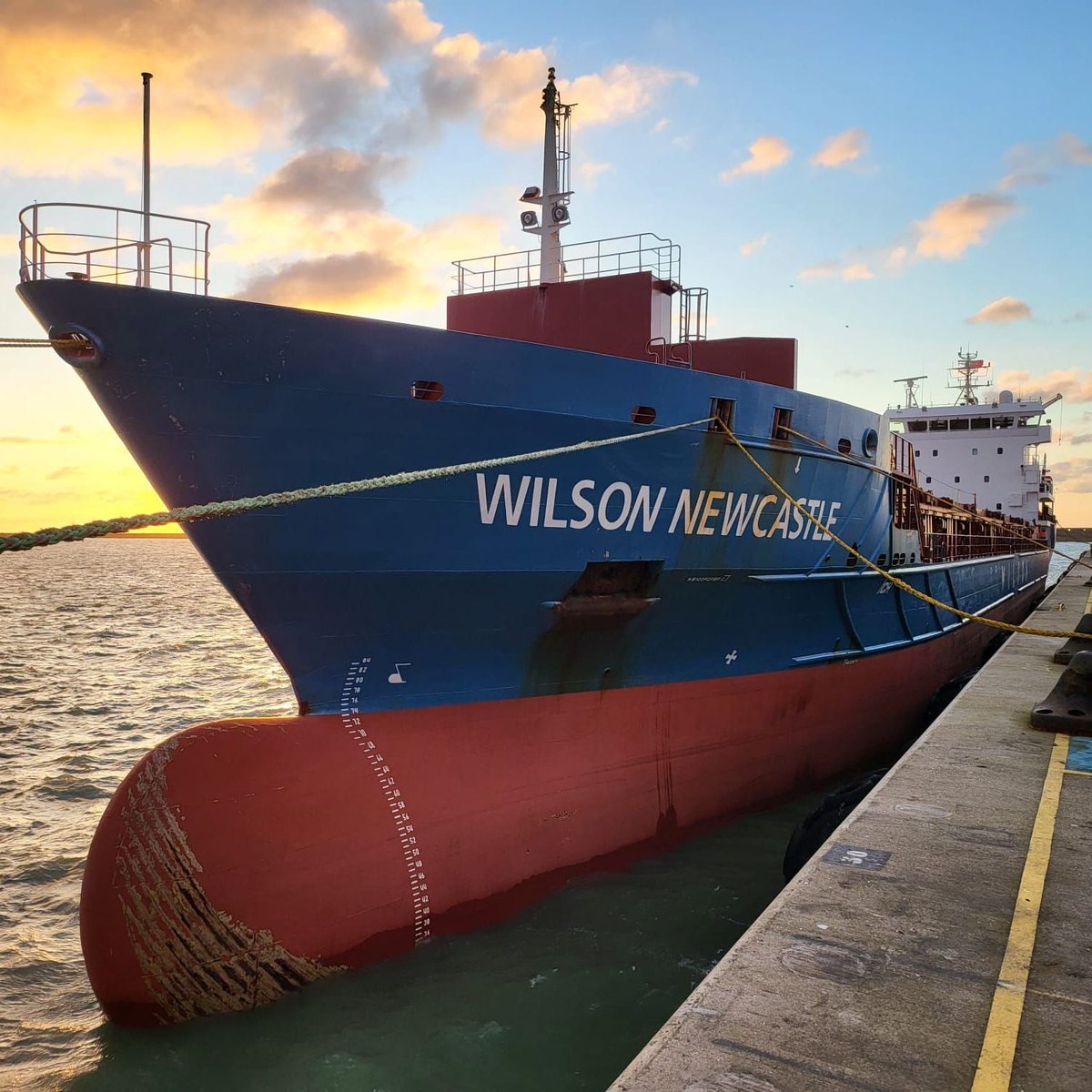 At the end of last week, Cefetra will have loaded 4 ships in Kent. 

The biggest to date was the Wilson Newcastle, with over 7k of milling wheat. It took 4 days to load and over 101 trucks!

A brilliant effort by all involved.
 
#grainmarketing #kentport #millingwheat