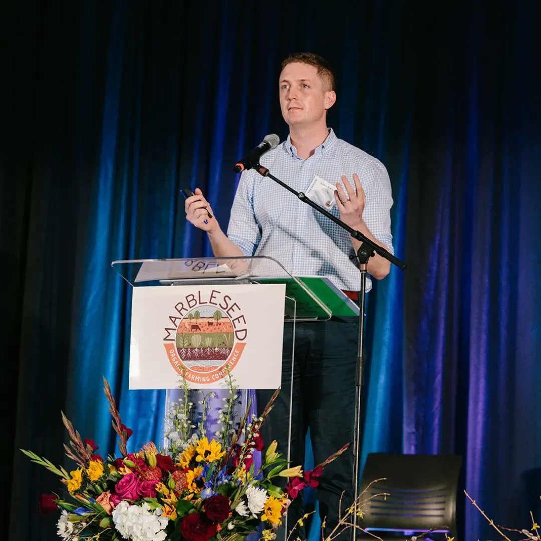 Marbleseed tweet media