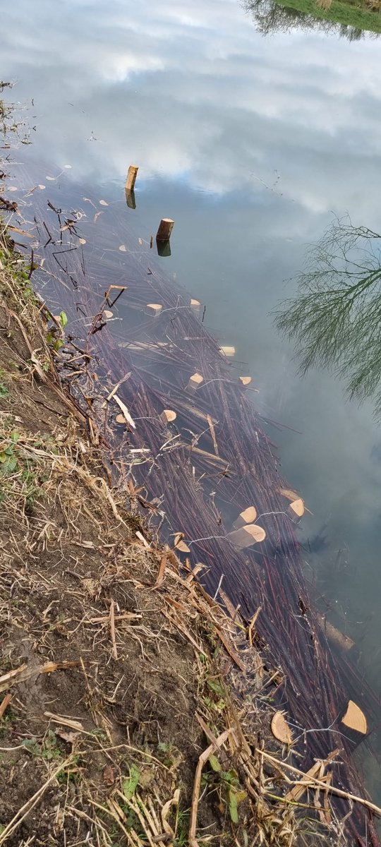 Our Fish and Invertebrate Habitat Enhancement Project at North Hykeham is now complete!

Working with @EastMerciaRT 17 fish refuges have been installed to provide much needed fish and invertebrate habitat #habitat #rivers #environmental