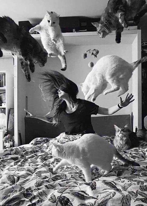 BeRLiN_2012's tweet image. When the Madness is #reflected