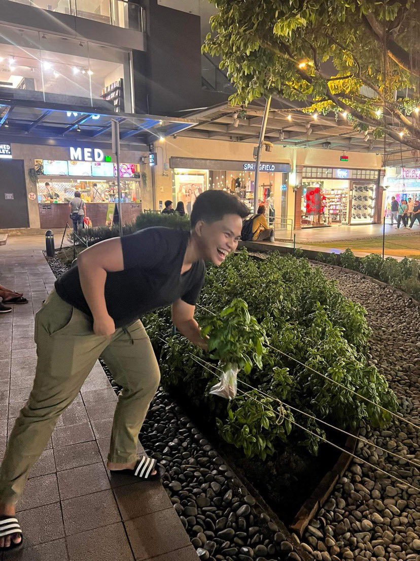 engr_astrnt's tweet image. The story of sweet basil. 
 
bgc peps ang nagtanim, kinuha ko, pero iba ang nag-uwi hahahahaha iba naman na herbs sa sunod ak kuwaon pero masarit na ak hahaha