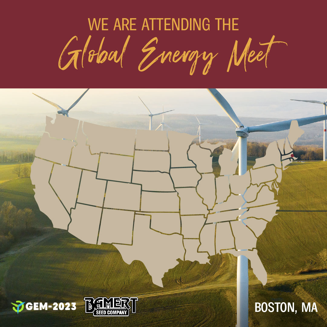 Nicholas, one of our Reclamation Specialists, will be giving a talk at the Global Energy Meet in Boston to present Seed-Spec: A Native Seed Blend Development Tool. #GEM23 Learn more about Seed-Spec: ecs.page.link/N8VcP 
ecs.page.link/3bgpC