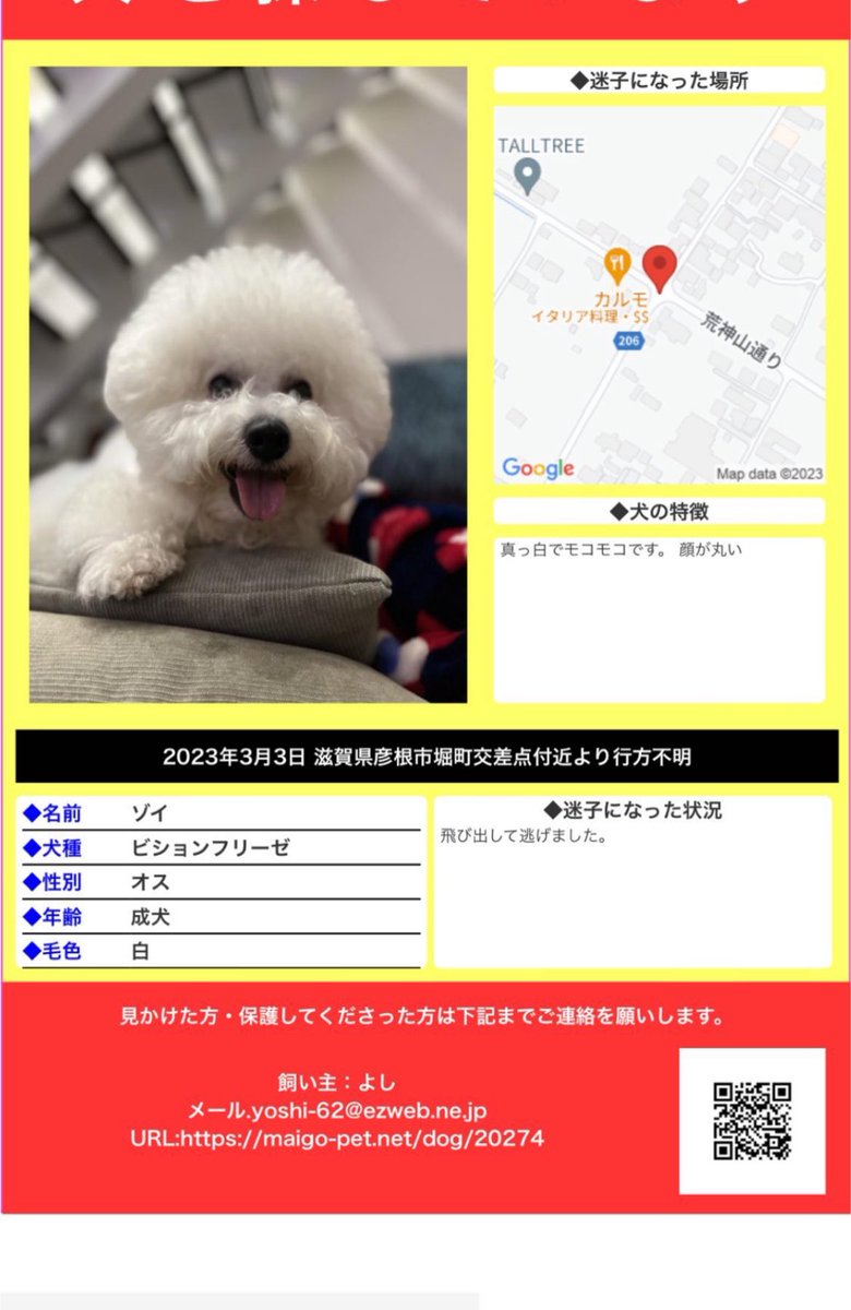 chunkpizza's tweet photo. 少しでも滋賀県の方に届きますように
#探しています
#迷子犬情報 
#滋賀県
#迷い犬 https://t.co/R30aW7piAy