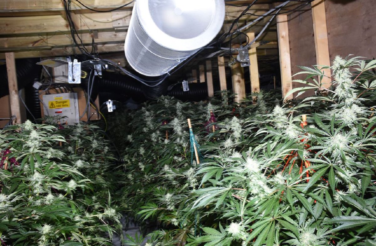 Avon and Somerset Police tweet media