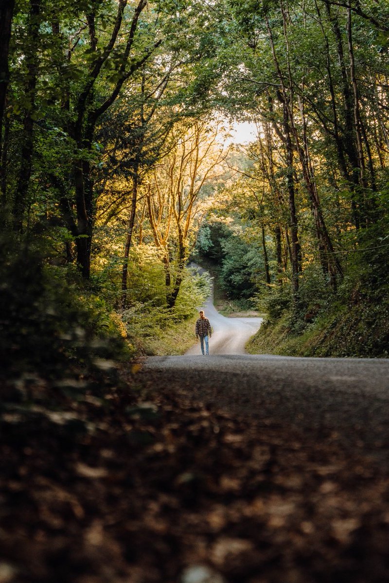 📸📍Minwear Woods, Pembrokeshire This Site of Specific Scientific Interest (SSSI) is situated in the Pembrokeshire Coast National Park, near Narberth 🗺️ 🐾🦦