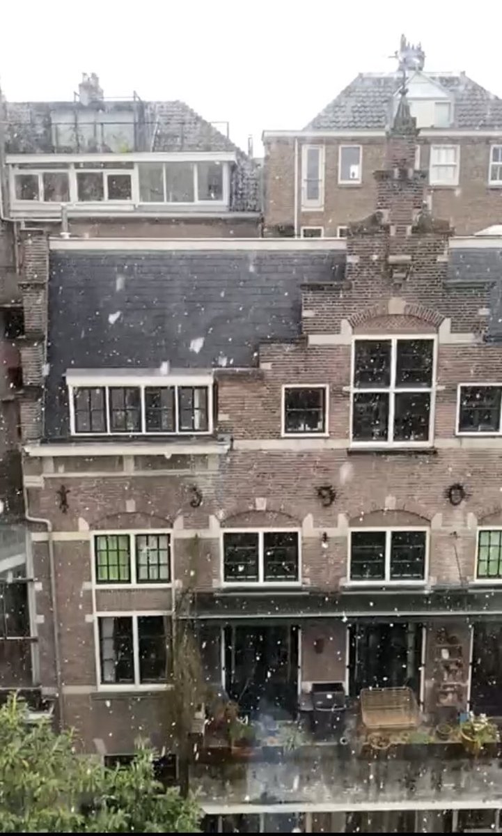 juliebirdfraser's tweet photo. Its snowing!!!! #amsterdam #winterspring #snow #netherlands #springtime https://t.co/m21Peec3TK