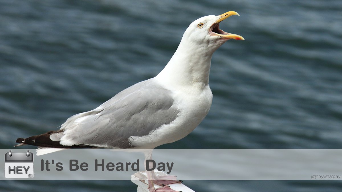 HeyWhatDay's tweet image. It's Be Heard Day! 
#BeHeardDay #NationalBeHeardDay #Squawk
