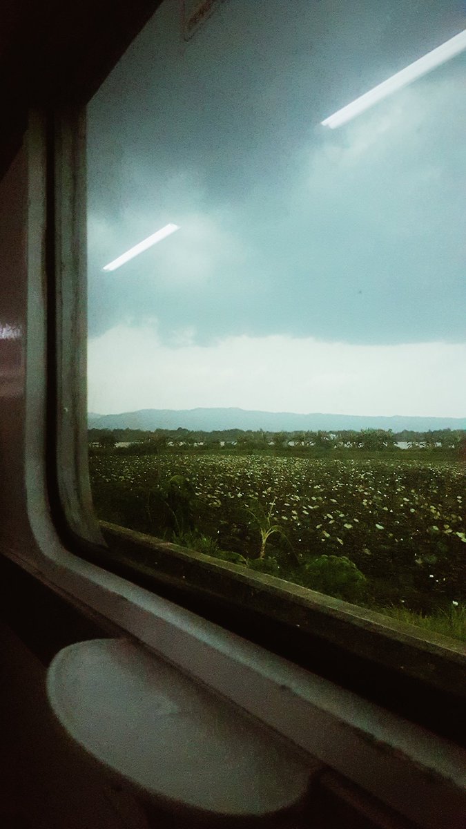 alfdnch's tweet photo. Pertanyaan "kalau gede mau jadi apa" bukan hanya berlaku bagi Susan kecil. Sudah besar pun masih bingung "mau jadi apa?" https://t.co/cQMyIoig6T