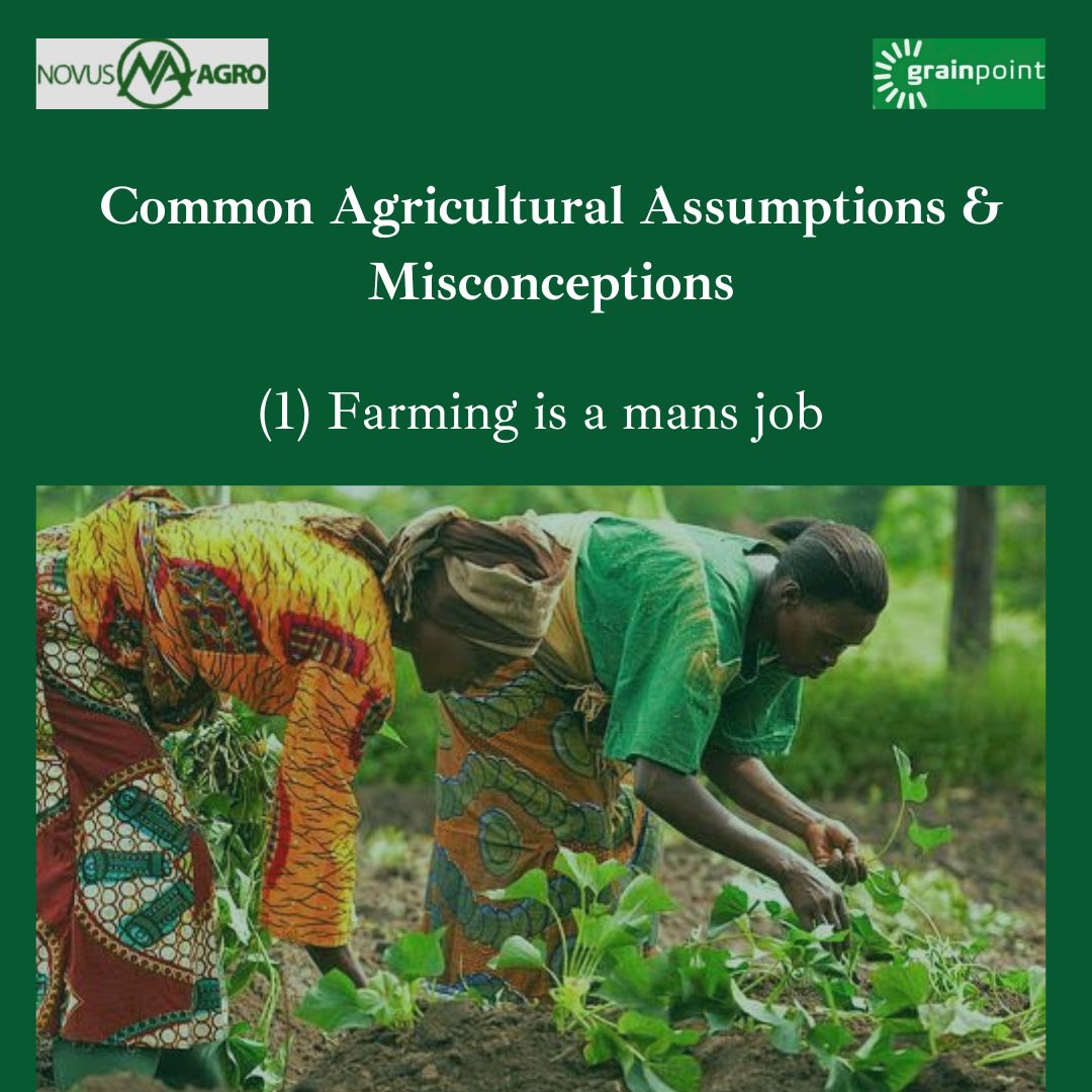 Novus Agro Nigeria tweet media