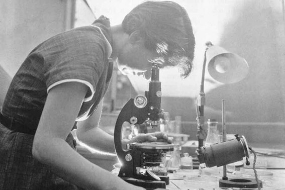 ROSALIND FRANKLIN

El trabajo de Rosalind Franklin fue fundamental para la comprensión de las estructuras moleculares del ADN, ARN, los virus, el carbón y el grafito.

Para saber un poco más sobre ella y de su trabajo, tenéis este link: papyrus.escolapiosemaus.org/rosalind-frank…