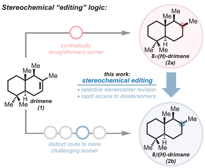 In today's group meeting, Xavi has told us about "Stereochemical editing logic powered by the
epimerization of unactivated tertiary stereocenters", published by <a href="/AlisonWendlandt/">Alison Wendlandt</a> and co-workers in <a href="/ScienceMagazine/">Science Magazine</a>.
science.org/toc/science/37…