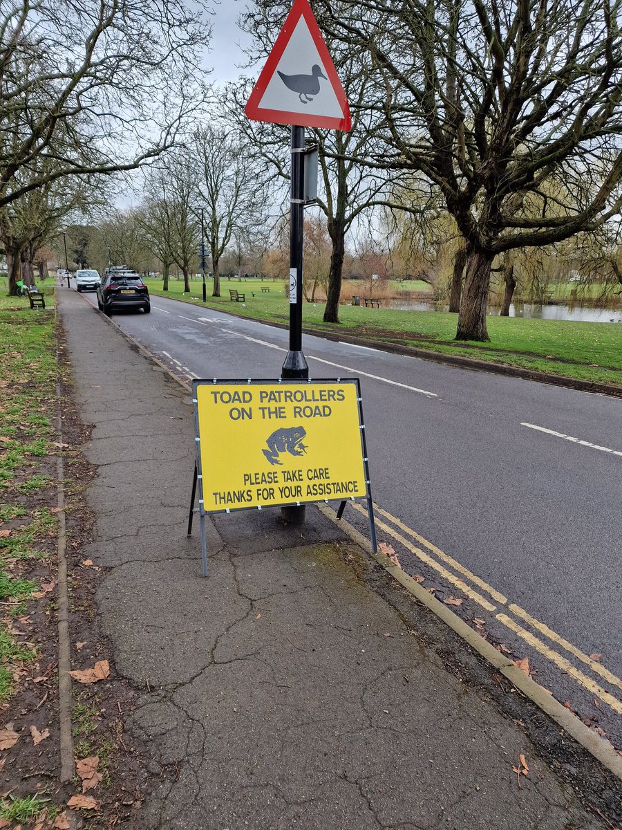 labetedelondres's tweet image. Toad Patrol! #hamlife