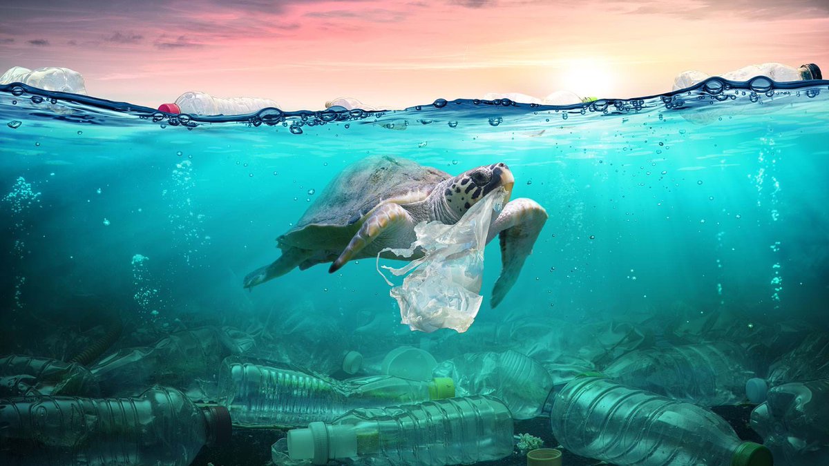 profashun's tweet photo. Throwing plastic carelessly is harmful to everything that exists on the planet 🥺 Let’s make kinder choices.
Locate a #profashun recycle basket near you to recycle, not throw. Protect the earth. Protect the animals.

#SustainableLife #Sustainability #Fashion https://t.co/Vqdg5TALOV