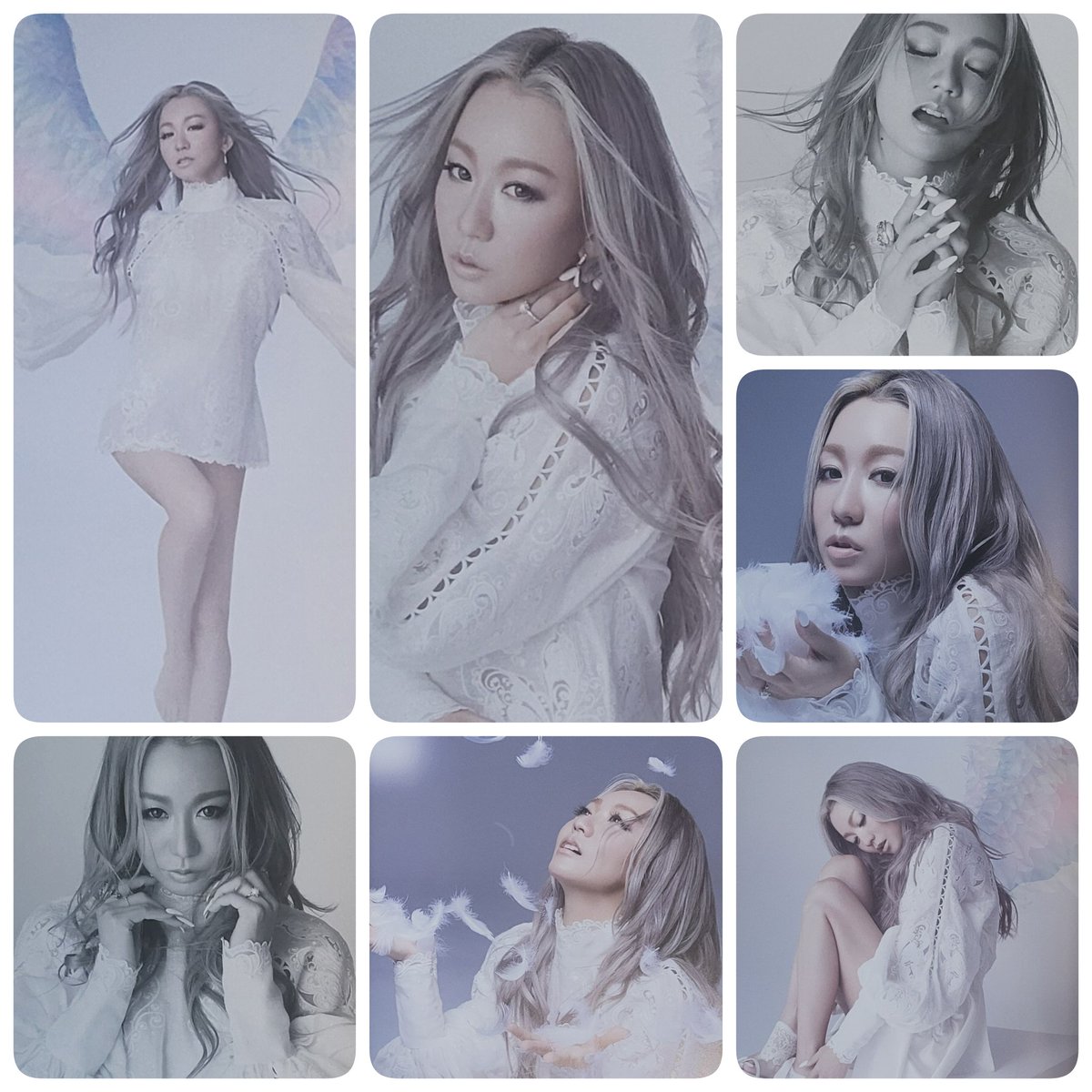 WKKW_BonVoyage's tweet photo. [PICS] WINGS

Pics from last release, WINGS are now available !

Did everyone get their copy?

https://t.co/RykxaJR6yg

#KODAKUMI #倖田來未 https://t.co/HxazVWUqzg