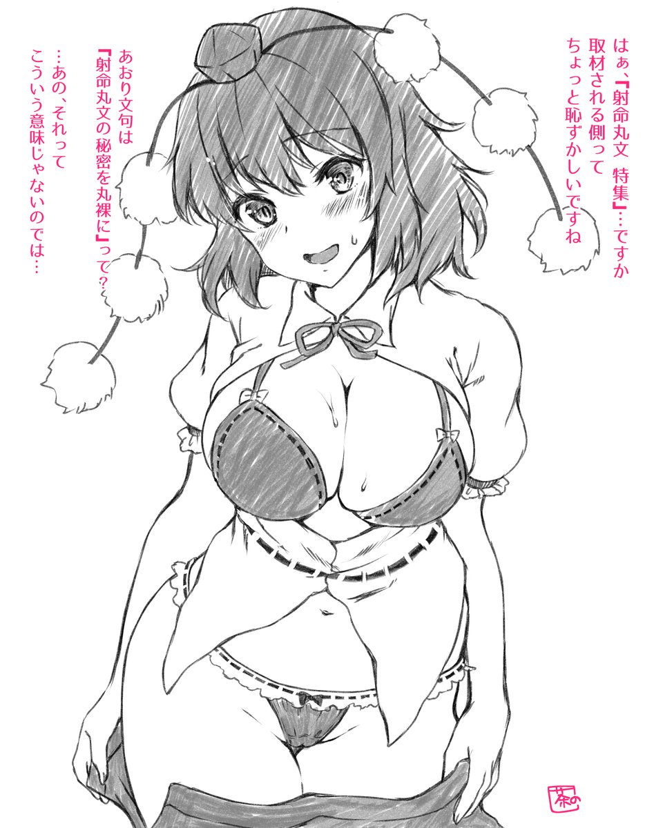 こんばん射命丸🥰<アヤチャン 