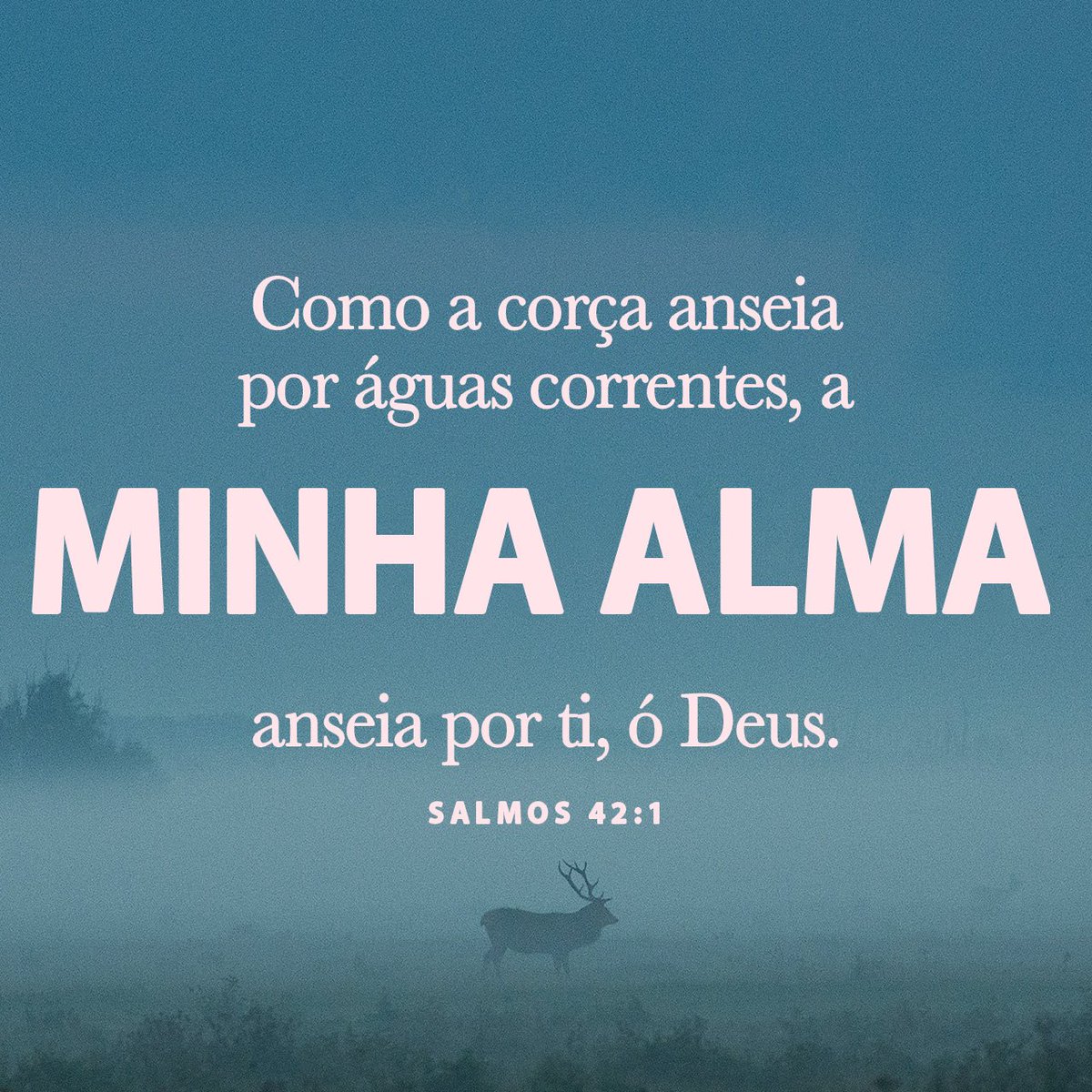 Salmos 42:1

#Bibliasagrada #JesusChrist 
#Deusnaoestamorto  #Versododia