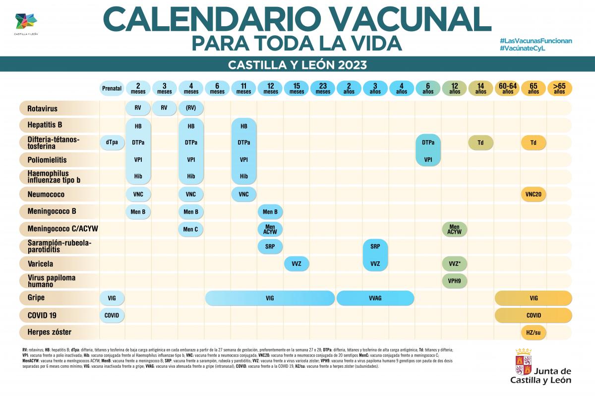 🔊🔊Castilla y León, primera comunidad en incorporar la vacunación frente al rotavirus al calendario vacunal infantil de 2023.
vacunasaep.org/profesionales/…