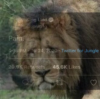 bhaos_chaos's tweet photo. @LocalBateman https://t.co/w5ACjbvWLl