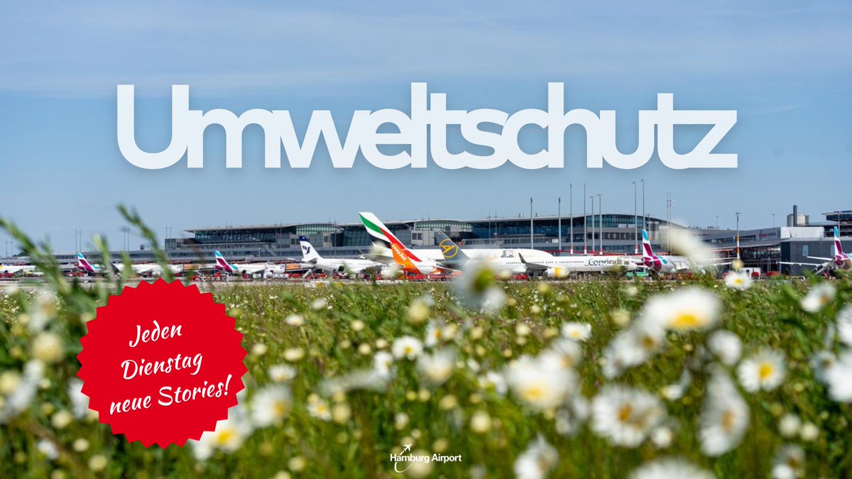 HamburgAirport's tweet photo. Umweltschutz am Airport? – Aber klar doch! 🌱 Mit einem Flughafen verbinden die meisten vermutlich nicht Umweltschutz – doch der Hamburg Airport ist Vorreiter in Sachen Klimaschutz. 💡 Erfahren Sie mehr darüber in unserem HAM Magazin: https://t.co/vVEQMS0cwZ https://t.co/A683kSTmNy