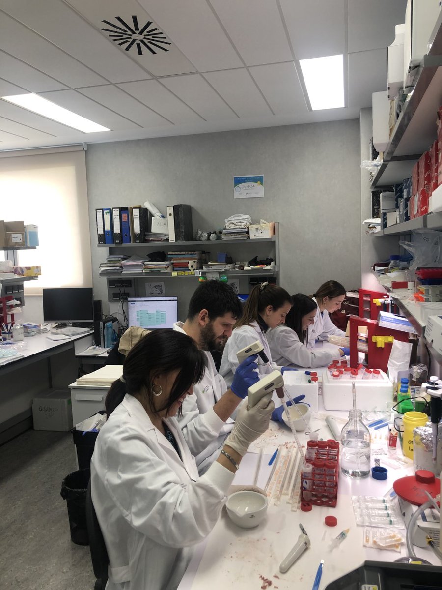 Maribel Parra LAB tweet media