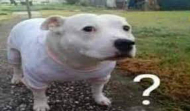 disordered_kit's tweet photo. me when I see a self DXer of bpd spamming a bunch of tags like "yantwt" or "obslovetwt" along side bpdtwt https://t.co/03eMOQYpZV
