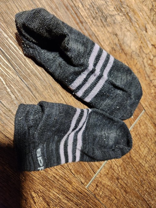 連續穿了好幾天的襪子 一回家脫下鞋子就被男友嫌太臭😂 有人會喜歡嗎 p.s. 愛迪達的襪子真的好臭... #戀足 #原味襪 https://t.co/HhpTBf1YLG<a href="/tag/%E6%88%80%E8%B6%B3"class="tags"><span>#戀足</span></a><a href="/tag/%E5%8E%9F%E5%91%B3%E8%A5%AA"class="tags"><span>#原味襪</span></a>