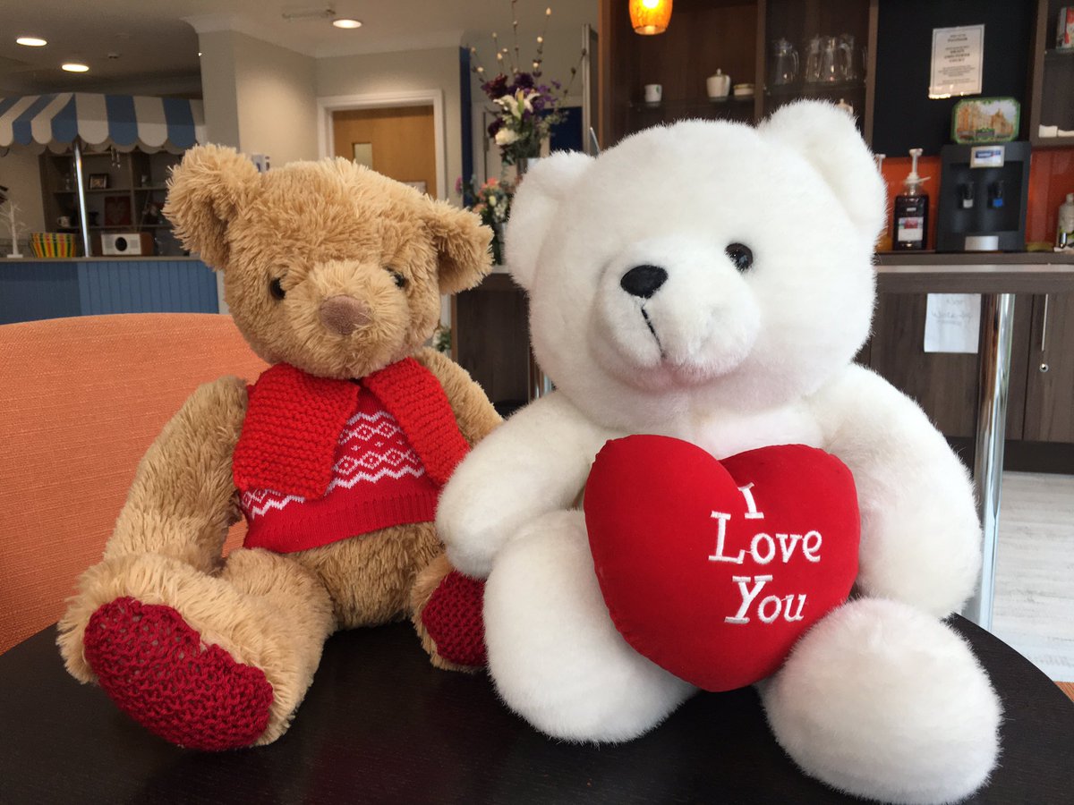 Seems like our mascot bear Chilterns Court Charlie has got a girlfriend ❤️ 

Love is in the air. 

Did they meet on #loveIsland  ? 

#henley ❤️❤️❤️