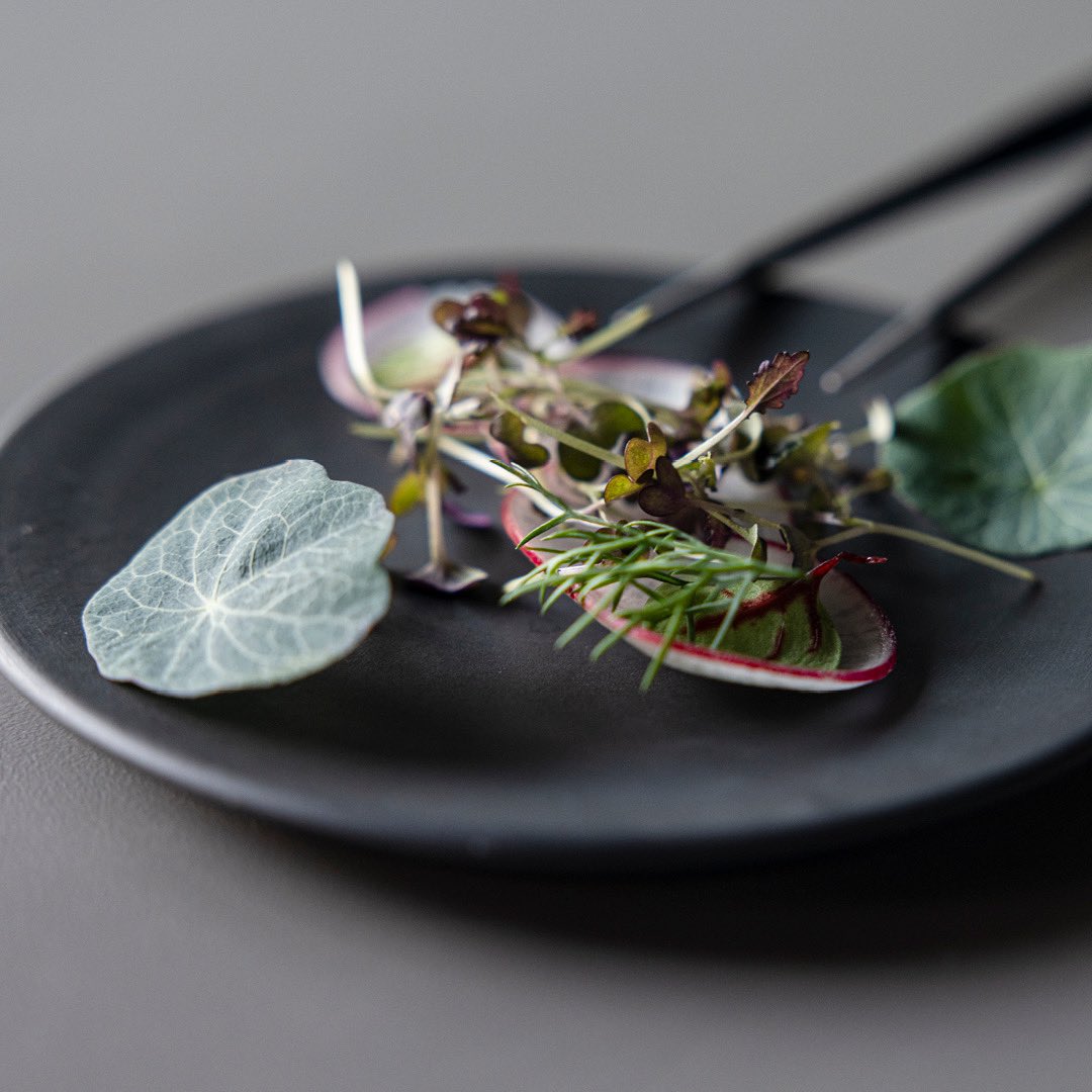 Lovely fresh micro greens at this time of the year 👌